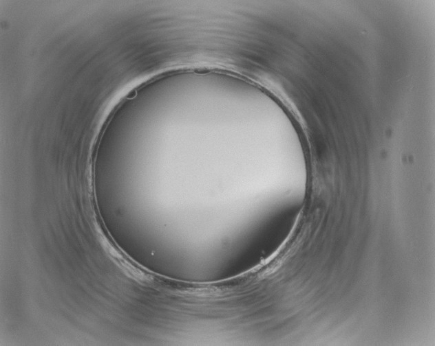 X0000060811388200511241924