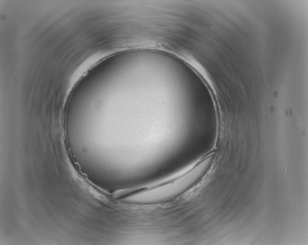 X0000060811389200511241924