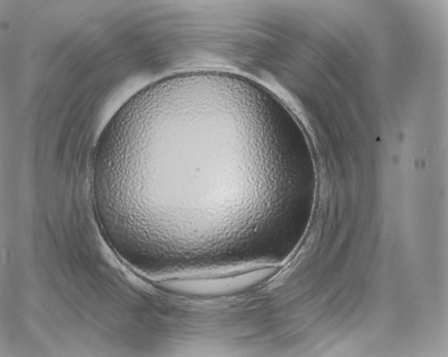 X0000060811390200511241924