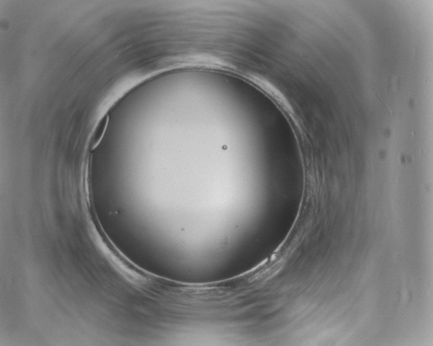 X0000060811391200511241924