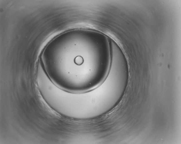 X0000060811392200511241924