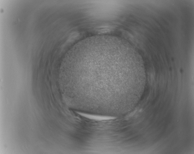 X0000060811393200511241924