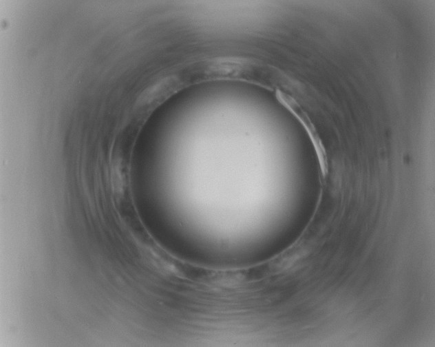 X0000060811394200511241924