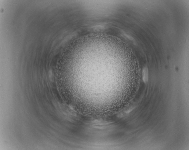 X0000060811395200511241924