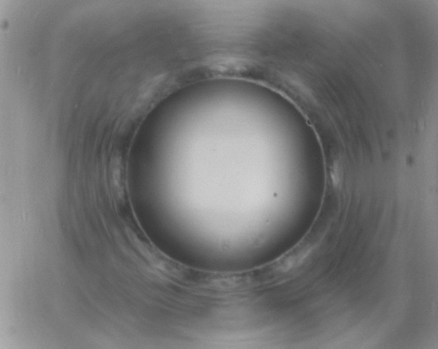 X0000060811396200511241924