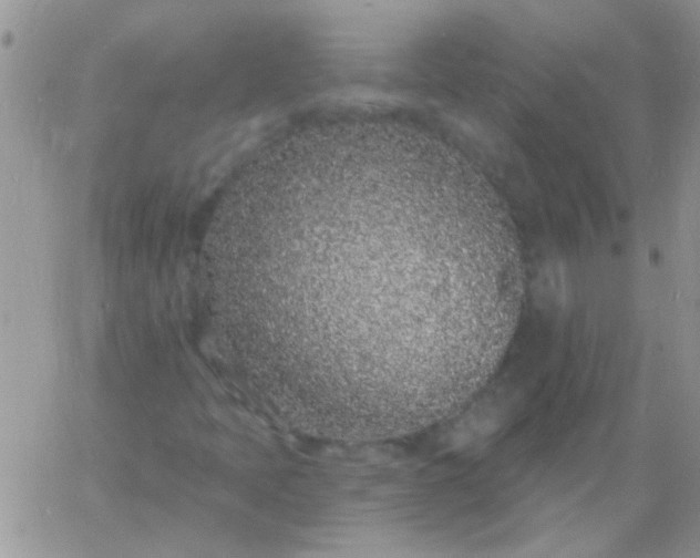 X0000060811397200511241924