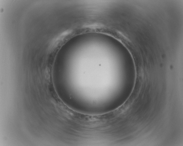 X0000060811398200511241924