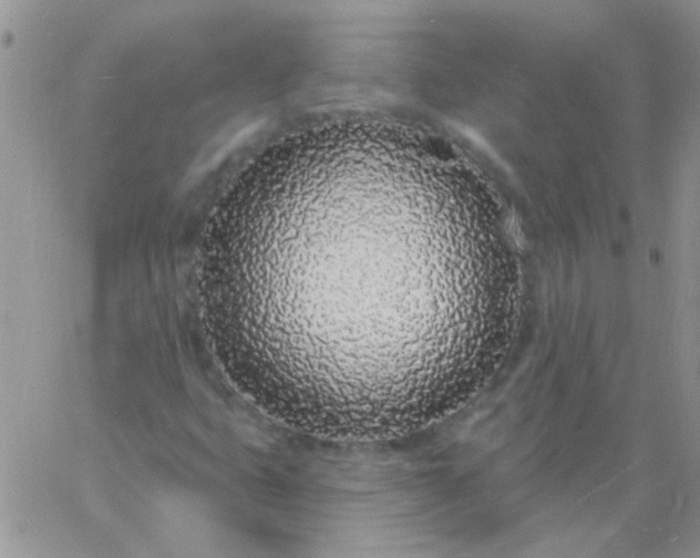 X0000060811399200511241924