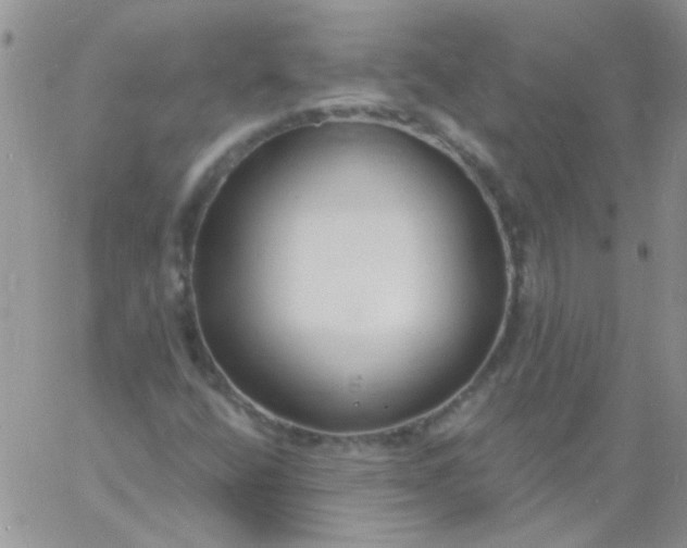 X0000060811400200511241924