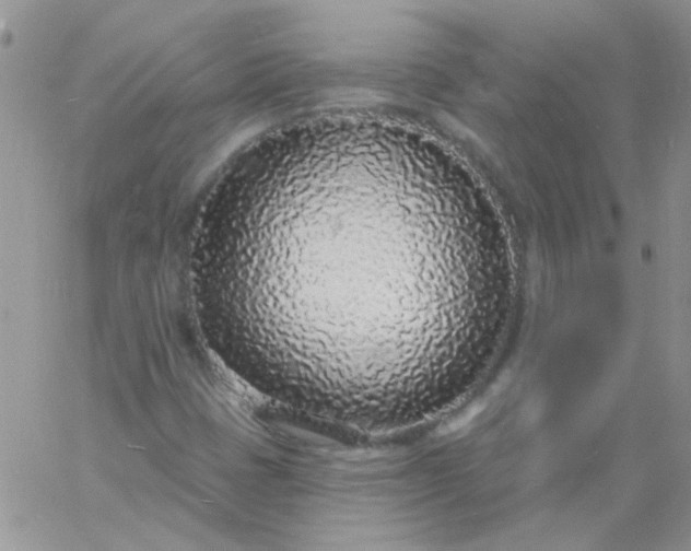 X0000060811401200511241924