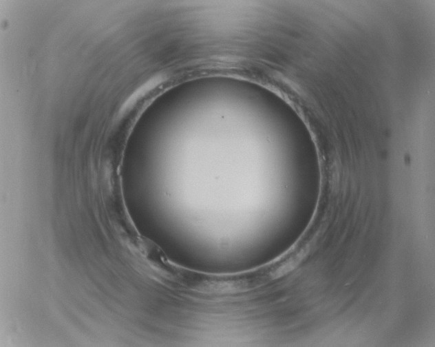 X0000060811402200511241924