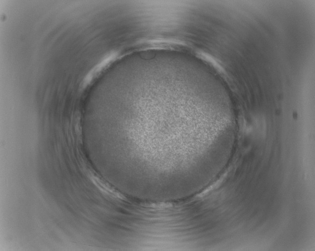 X0000060811403200511241924