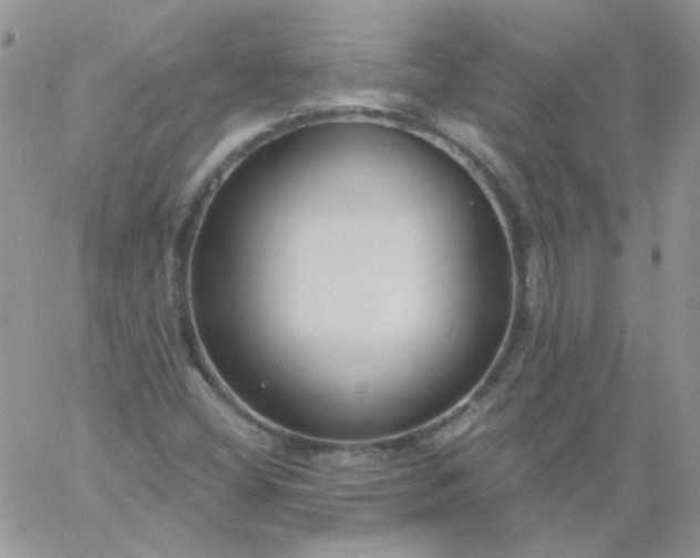 X0000060811404200511241924