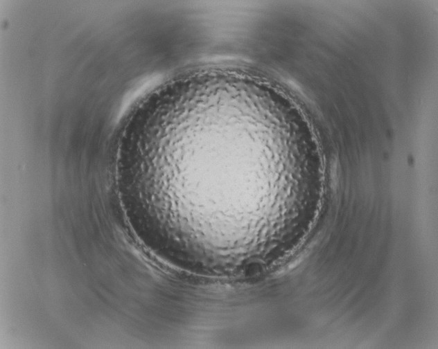 X0000060811405200511241924