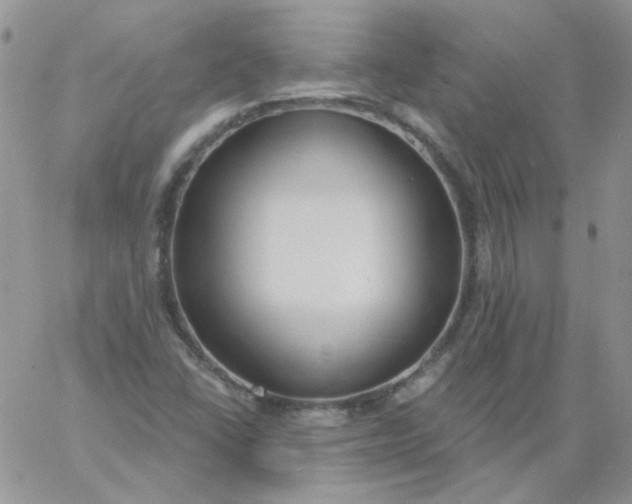 X0000060811406200511241924