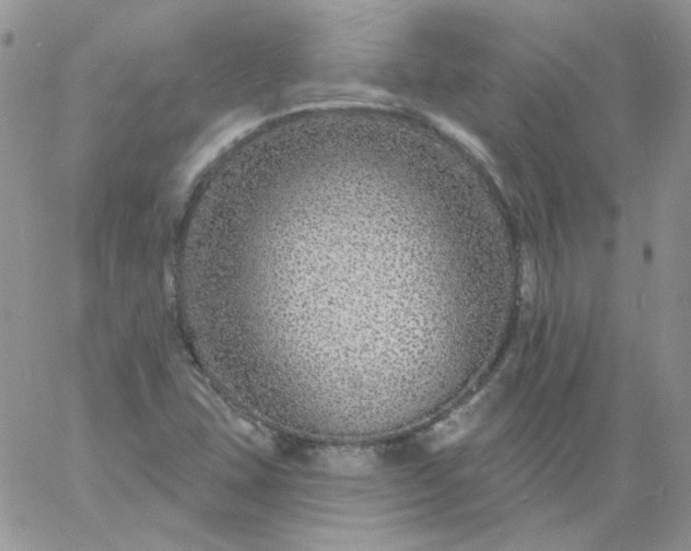 X0000060811407200511241924