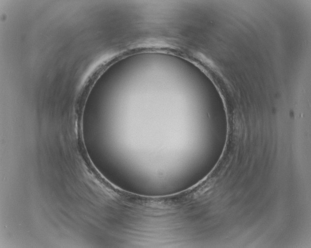 X0000060811408200511241924