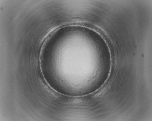 X0000060811409200511241924