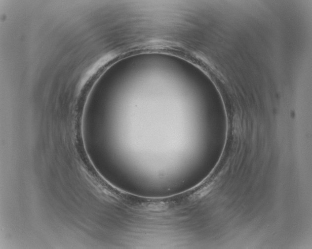 X0000060811410200511241924