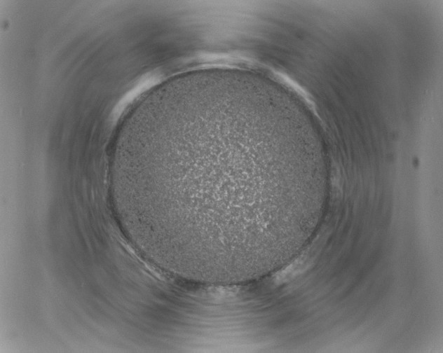 X0000060811411200511241924