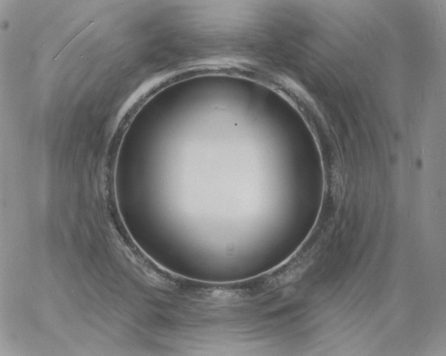 X0000060811412200511241924