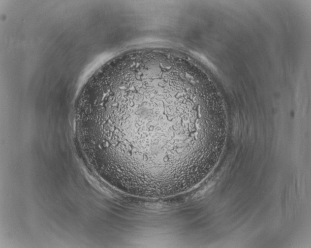 X0000060811413200511241924