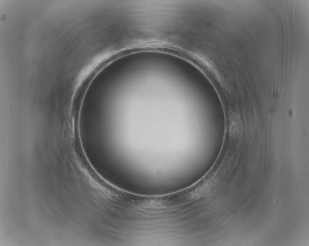 X0000060811414200511241924