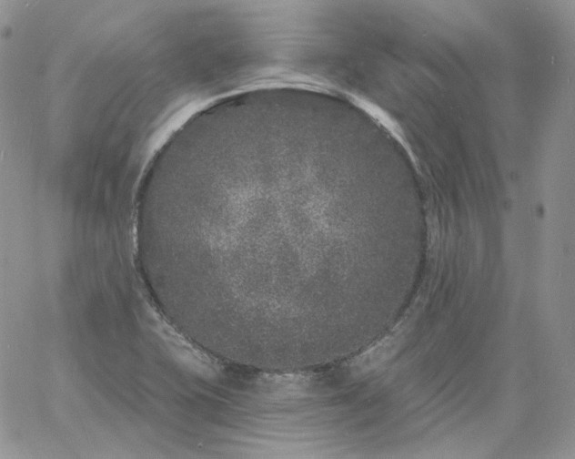 X0000060811415200511241924