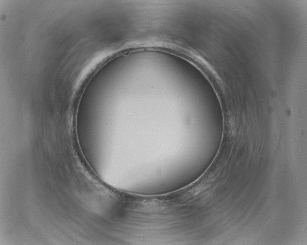 X0000060811416200511241924