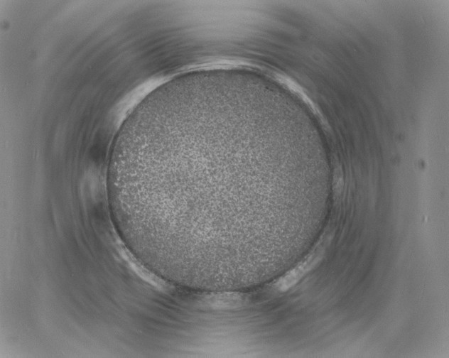 X0000060811417200511241924