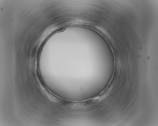 X0000060811418200511241924