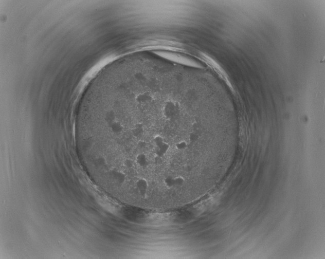 X0000060811419200511241924