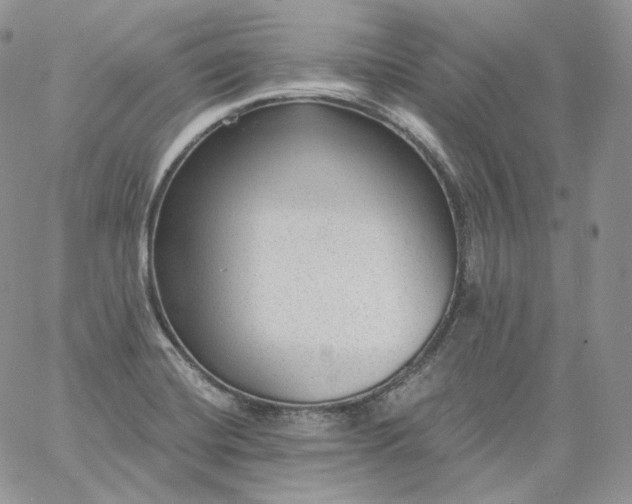 X0000060811420200511241924