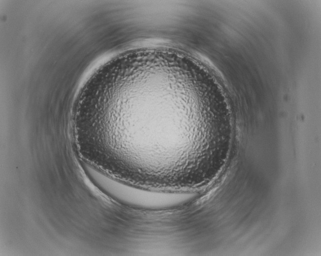 X0000060811421200511241924