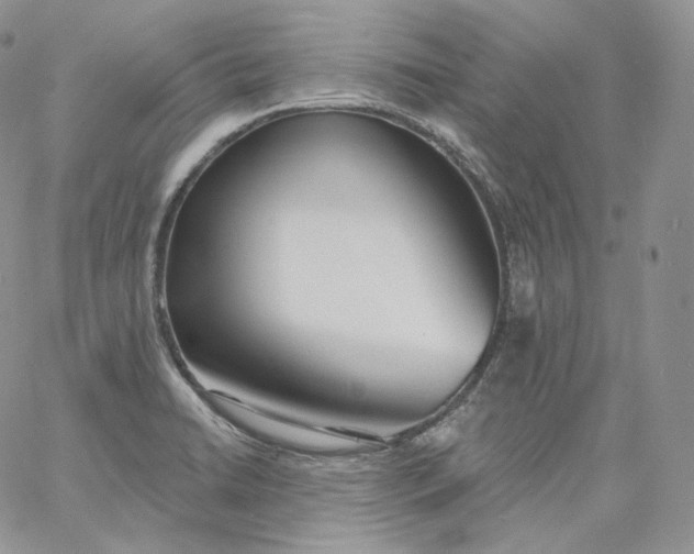 X0000060811422200511241924