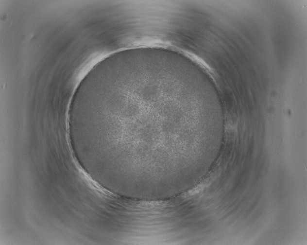 X0000060811423200511241924