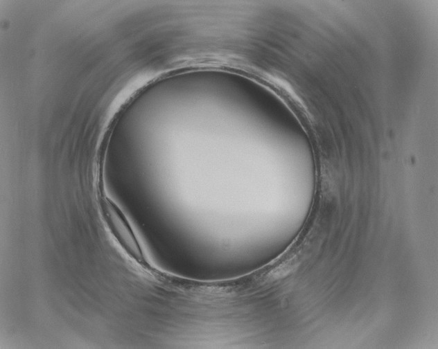 X0000060811424200511241924