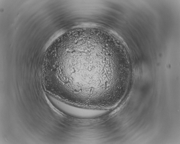 X0000060811425200511241924