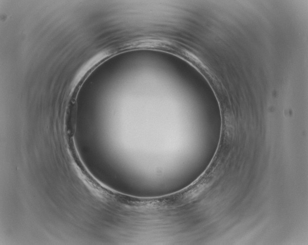 X0000060811426200511241924