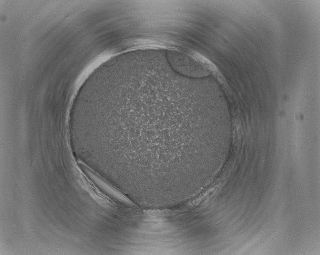 X0000060811427200511241924