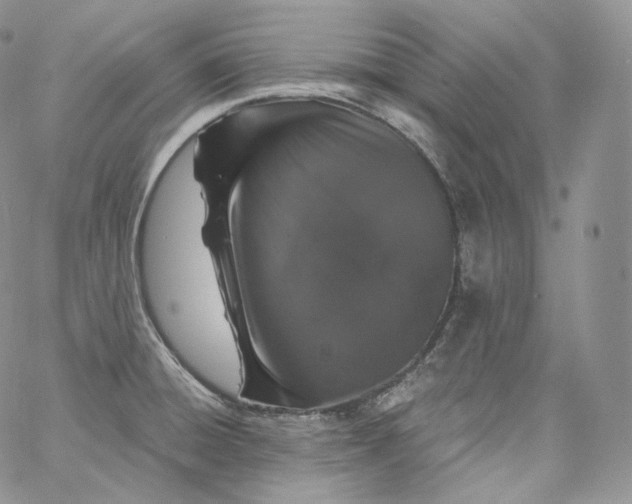 X0000060811428200511241924