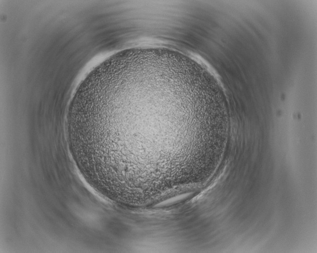 X0000060811429200511241924