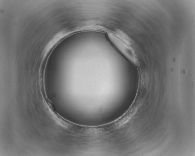 X0000060811430200511241924