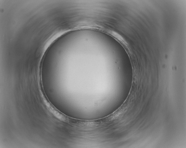 X0000060811431200511241924