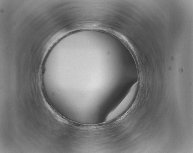 X0000060811432200511241924