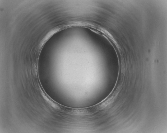 X0000060811433200511241924