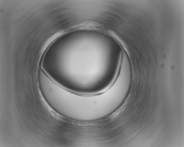 X0000060811434200511241924