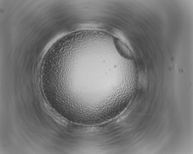 X0000060811435200511241924