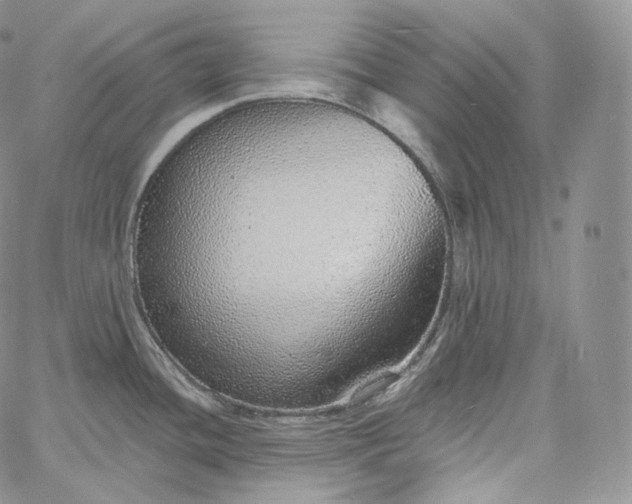 X0000060811436200511241924