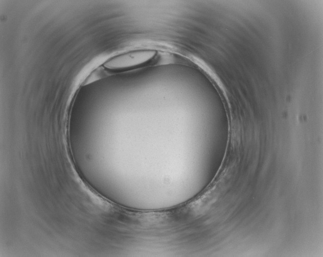 X0000060811437200511241924